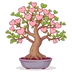 Bonsaitree.Fyi Logo
